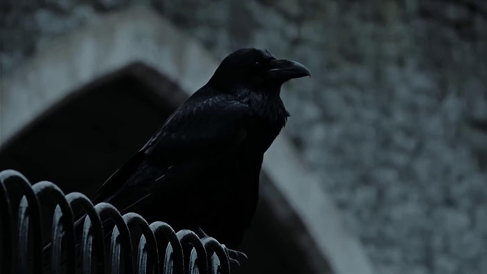 Cruachan - The Crow